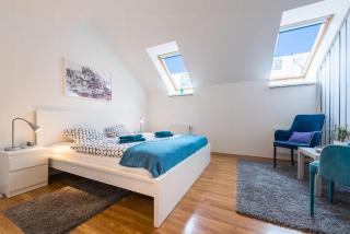 Large Duplex Apartment with a Sunny Terrace - Praag - 9