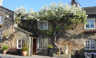 The Windmill Inn - Collingham - 9