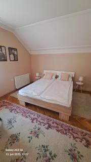 Apartman Pavle - Subotica - 6