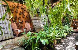 TROPICAL GARDEN Homestay - Buôn Alê (1) - 8