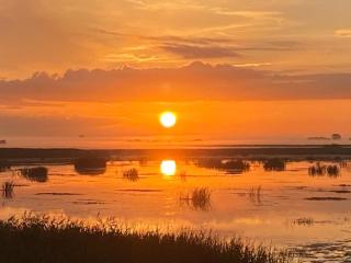 Haus Dres Ferienwohnung 1 und 2 - 6