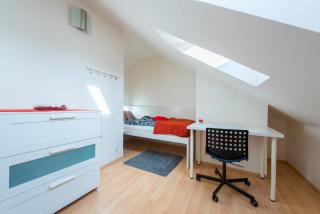 Duplex City-Centre Apartment with a Sunny Terrace - Prag - 2