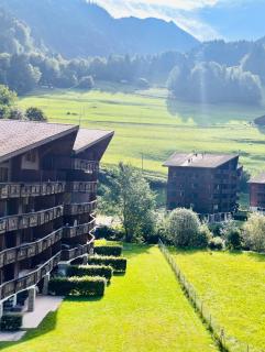Aparthotel Mountain River Resort - Val-d'Illiez - 9