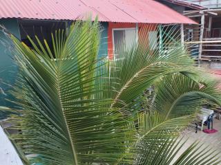 Playa Tortuga Cabaña - 3