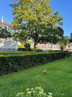 Krefeld-LINN luxury apartment - Krefeld - 6