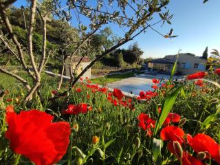 Les jardins de Vacqueyras - 0