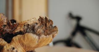 Casa Augusta - The Natural Lodgings And Retreats - 8
