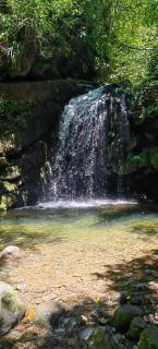 Cristal House Mountain View - Heredia - 4
