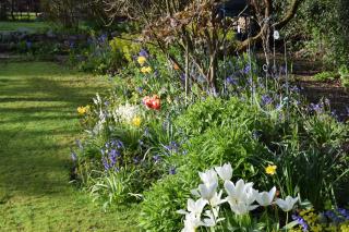 Fosbroke Cottage - Bidford - 2