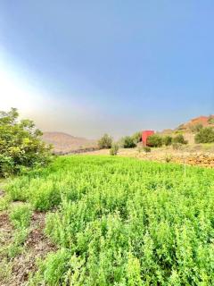 Agadir Tighanimine maison avec piscine dans une ferme - Ajarif - 7