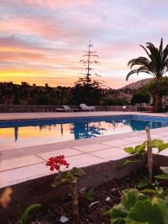 Agadir Tighanimine maison avec piscine dans une ferme - Ajarif - 5