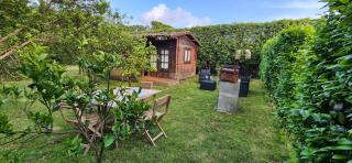Parque de Campismo Rural Quinta das Laranjeiras - Ribeira Grande - 9