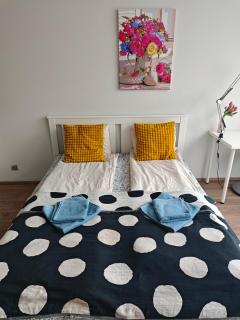 Comfort flat with great location - Prag - 0