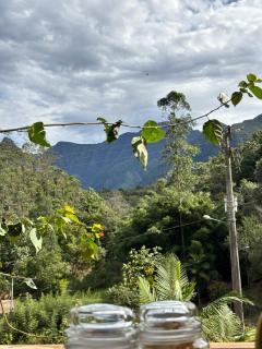 Casa das Palmeiras Pousada - 8