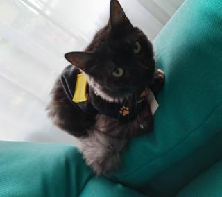 Cata Bed Breakfast Pet-friendly - 6