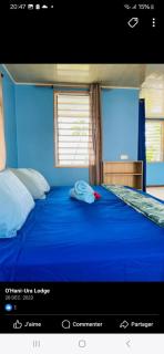 O'Hani-Ura lodge - Bora Bora - 7