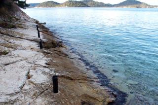 Apartments by the sea Ubli, Lastovo - 24676 - 7