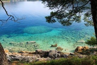 Apartments by the sea Ubli, Lastovo - 24676 - 1