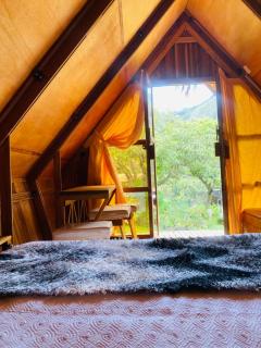 Eco-Glamping - Baños - 1
