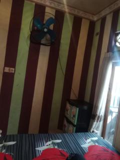 Misran Homestay - Triwung - 7