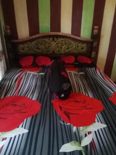Misran Homestay - Triwung - 9