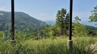 The Lone Pine - Architect's Villa for adventure & retreat - Payingomuwa - 7