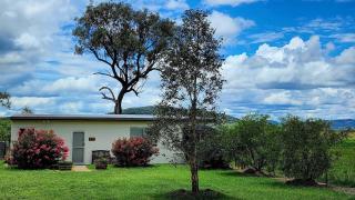 The Vet Shed, Riversdale - Mingoola - 0