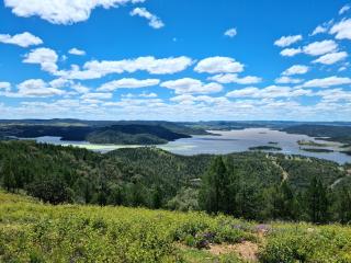 The Vet Shed, Riversdale - Mingoola - 9