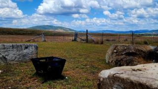 The Vet Shed, Riversdale - Mingoola - 8