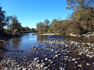 The Vet Shed, Riversdale - Mingoola - 4