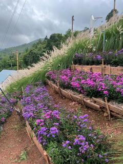 บ้านไม่ไผ่บ้านเวร-BambooHouse Banwen - - 6