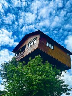 Trini Treehouse By GEstores - Huasca de Ocampo - 6