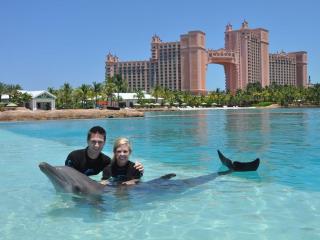 Oceanfront Home 35 steps into the SEA! Private Pool! Just bring Snorkel Gear! - Nassau - 8