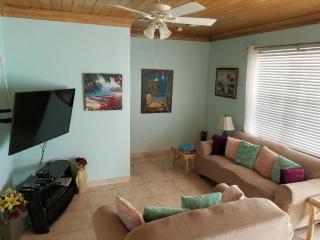 Oceanfront Home 35 steps into the SEA! Private Pool! Just bring Snorkel Gear! - Nassau - 6