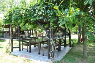 Nefeli Studios - Sykia Chalkidikis - 4