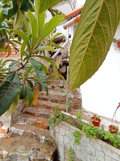 Obrajillo Eco-Lodge - - 1