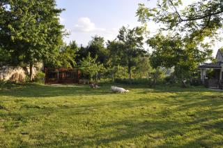 Agriturismo Tholos - 1