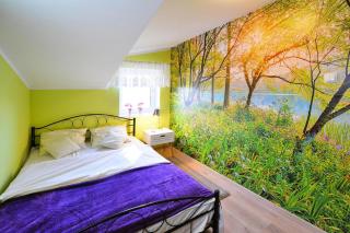 Holiday home on the island, Niezyn - - 4