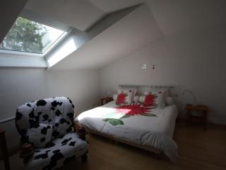 Appartement confort avec billard et Wifi - FR-1-589-819 - - 6