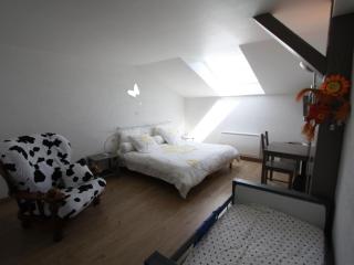 Appartement confort avec billard et Wifi - FR-1-589-819 - - 4