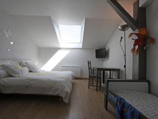 Appartement confort avec billard et Wifi - FR-1-589-819 - - 3