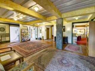 Almdorf Hochlienz, Apartment Alm 30 - Obernussdorf - 1