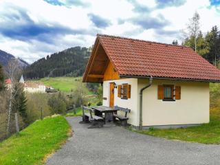 Holiday home in Gaal im Murtal in a beautiful setting - - 1