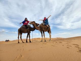 Riad Scorpion N - Fez - 0
