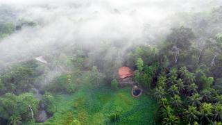 Villa Springwater Dellawa - - 6