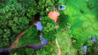 Villa Springwater Dellawa - - 8