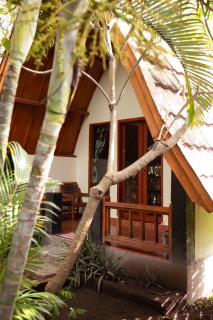 Florine's Garden - Gili Islands - 6