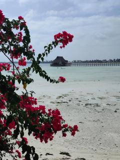 Malcom Ocean View Retreat - Pongwe - 2