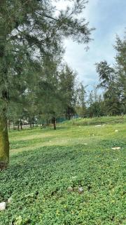 Nhà nghỉ Ngân Hà - - 5