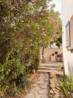 Mas Belvega - La Baume-de-Transit - 4